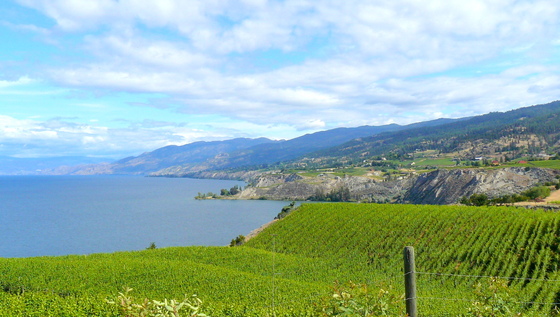 Naramata Bench w Okanagan Lake.JPG